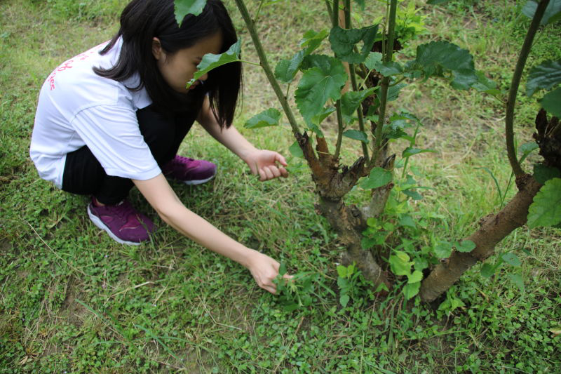 图片17.png 图片17.png