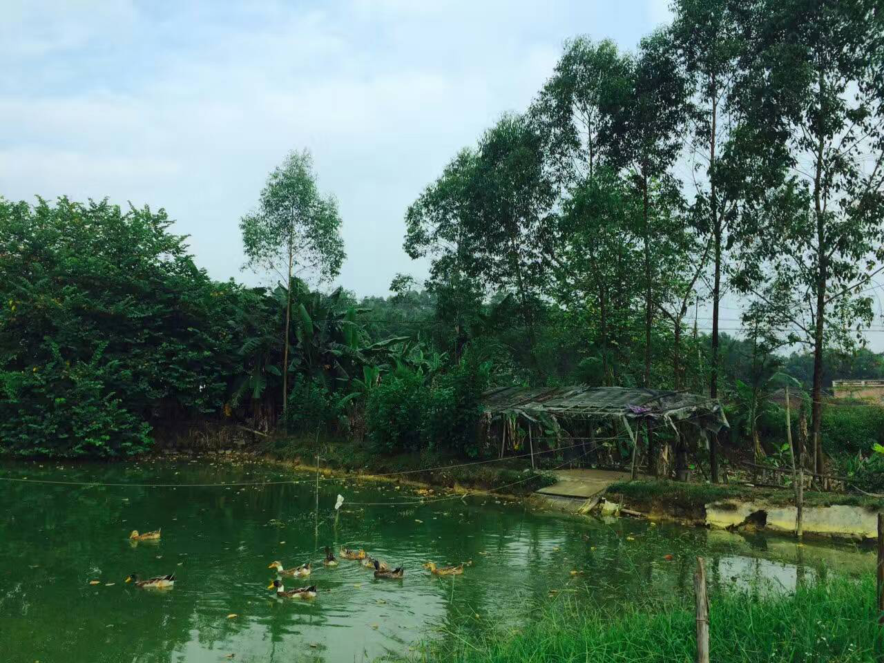 图片15.png 图片15.png